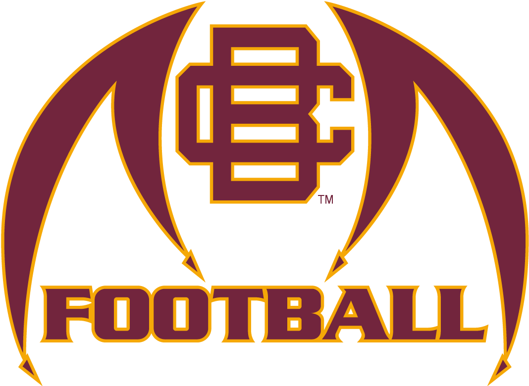 Bethune-Cookman Wildcats 2010-2015 Misc Logo vinyl decal